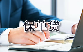 攀枝花保单贷
