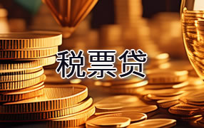 攀枝花税票贷